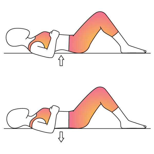 Pelvic Bridge Vs. Pelvic Tilt - North Shore Pro-Active Health